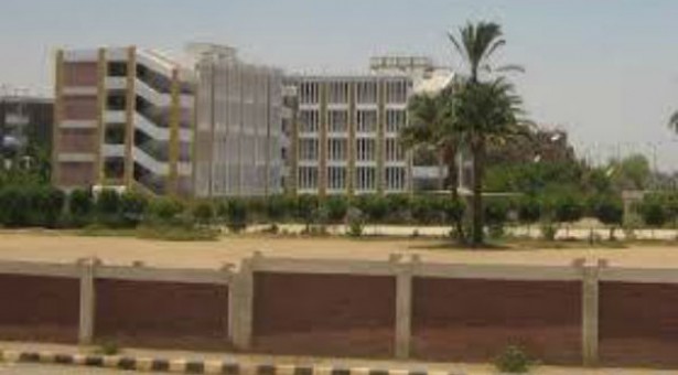 العاملون بالخارج يطالبون بحل مشكلة طلاب الثانوية العامة